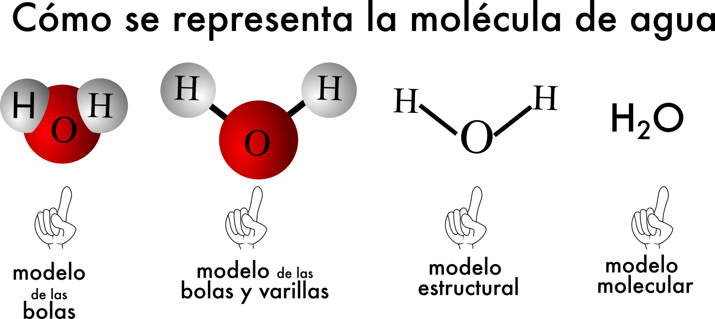 Tema 01.03 Biomoléculas inorgánicas